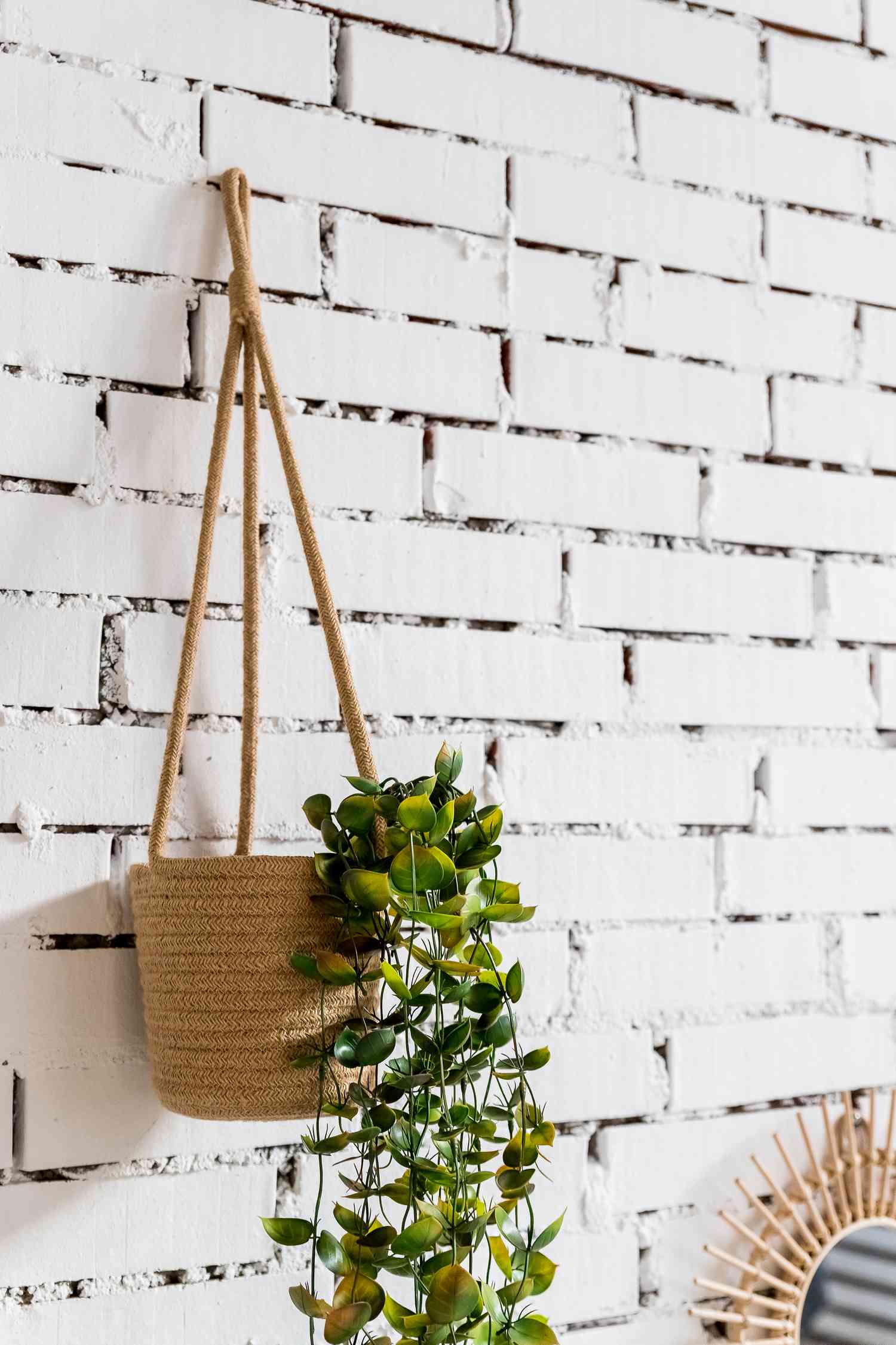 wall design hanging tree pot on white brick background.