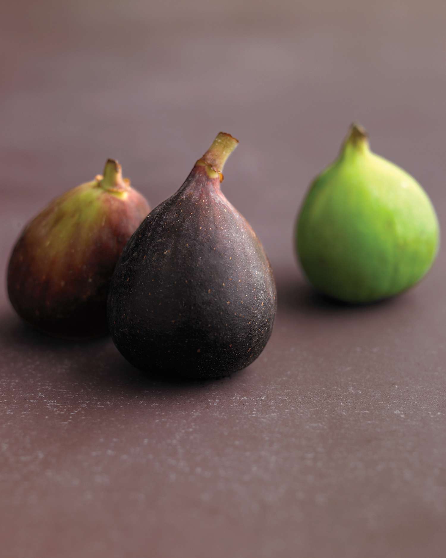 med103596_1008_figs.jpg