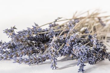 A bunch of dried lavender stems and flowers