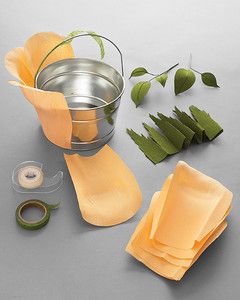 msd104893_sip_hal_09_costpet3_hd