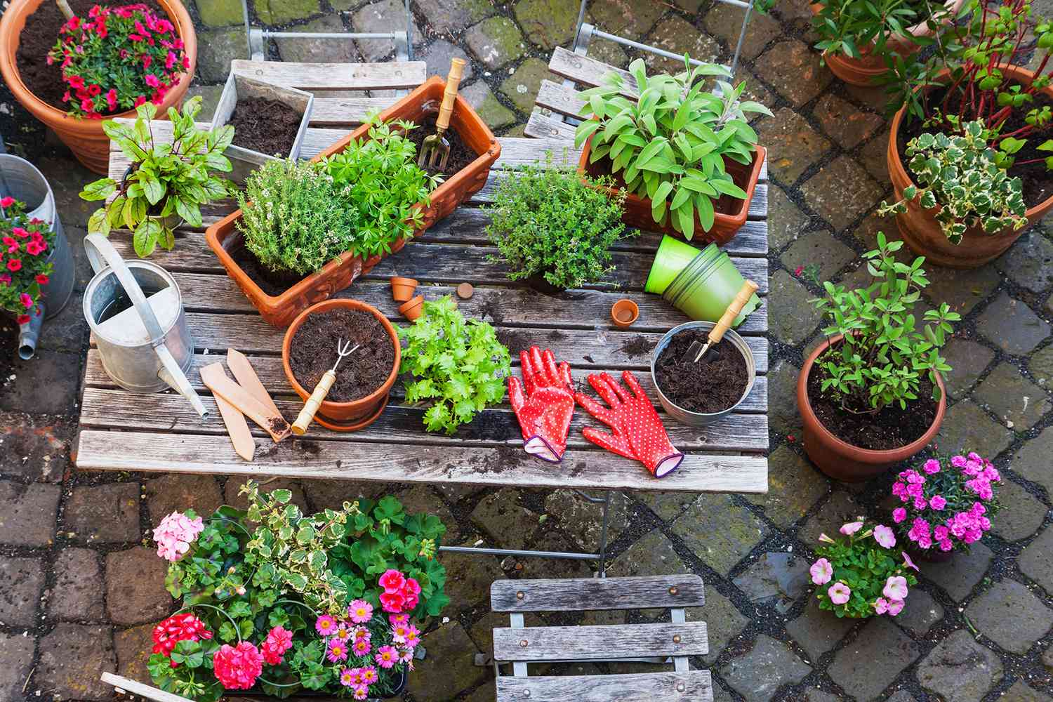 outdoor table with plants and gardening supplies
