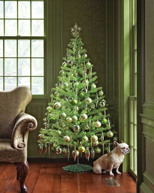 green christmas tree with bulldog by window