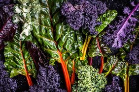 Freshly Harvested Kale Vegetable Varieties
