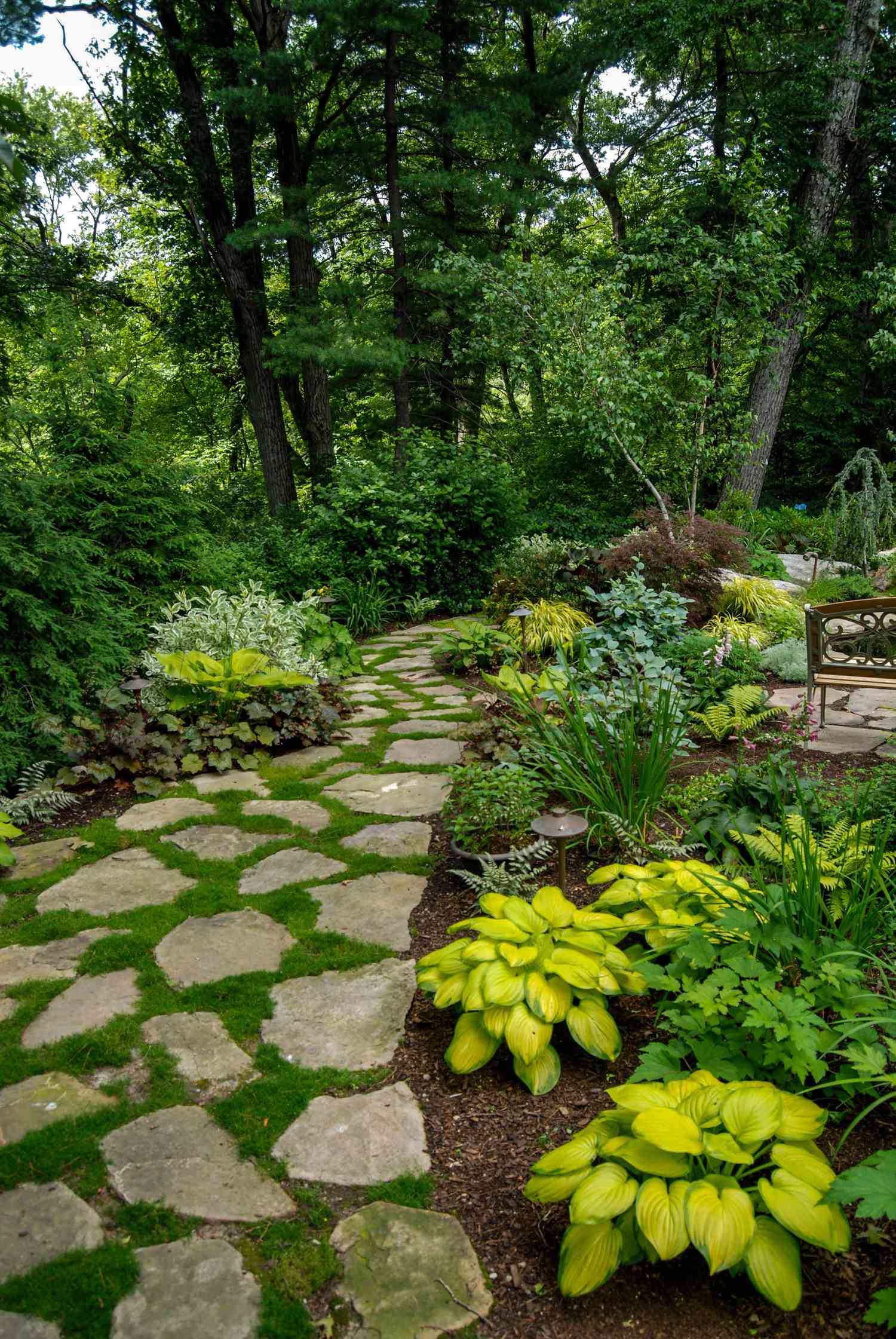 Garden with stone walkway