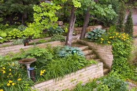 A lush shade garden with stone retaining walls and staircase.