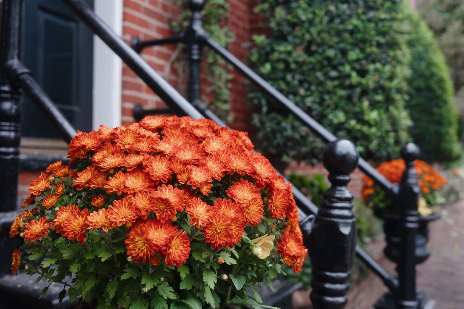 Flowers in a pot by a staircase with plants and a brick building in the background