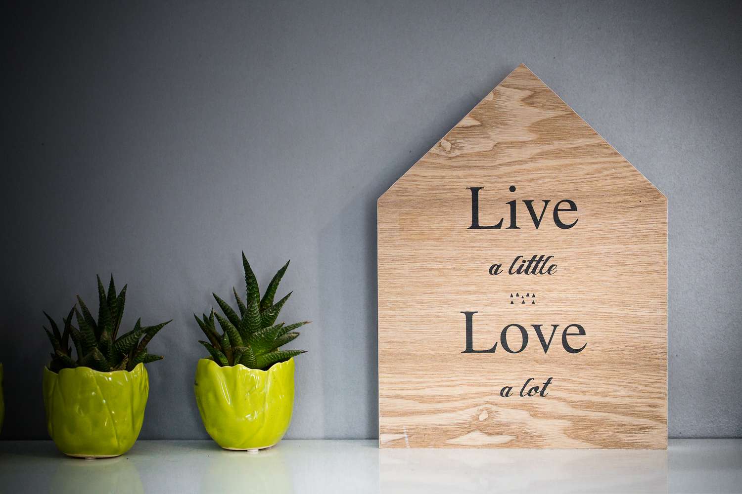 Wooden houseshaped sign with Live a little Love a lot next to small succulents in yellow pots