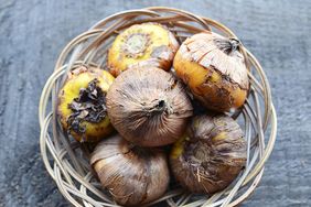 A basket filled with bulbs resting on a textured surface
