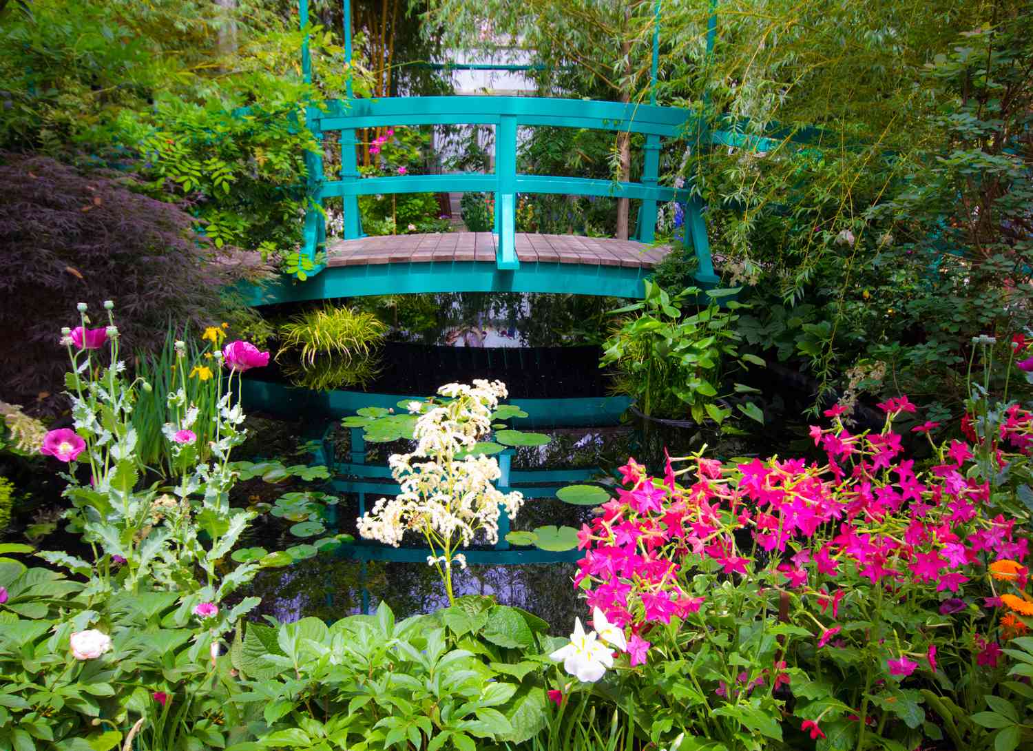 Teal colored bridge over a koi pond