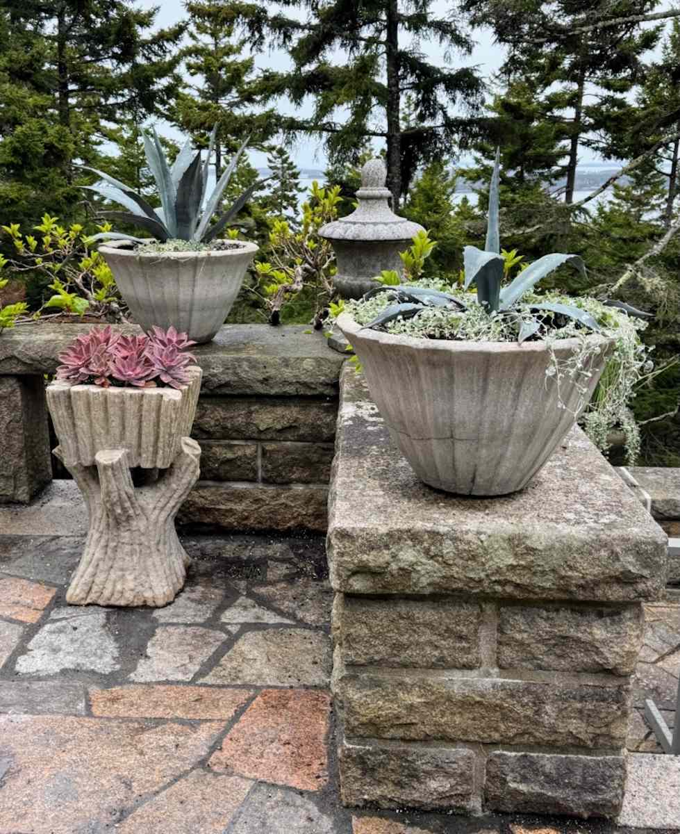 Planters with succulents and plants arranged on stone features in a garden setting