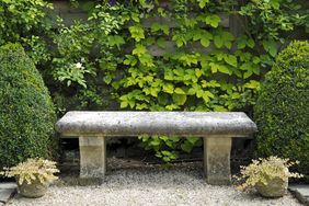 Stone bench in a garden setting with greenery and two potted plants