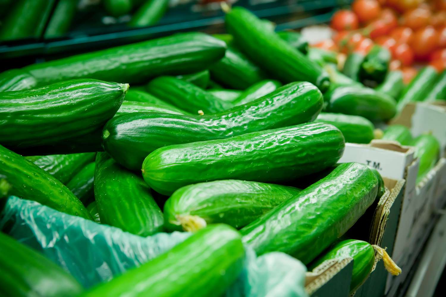 Picture of fresh cucumber - vegetables in supermarket