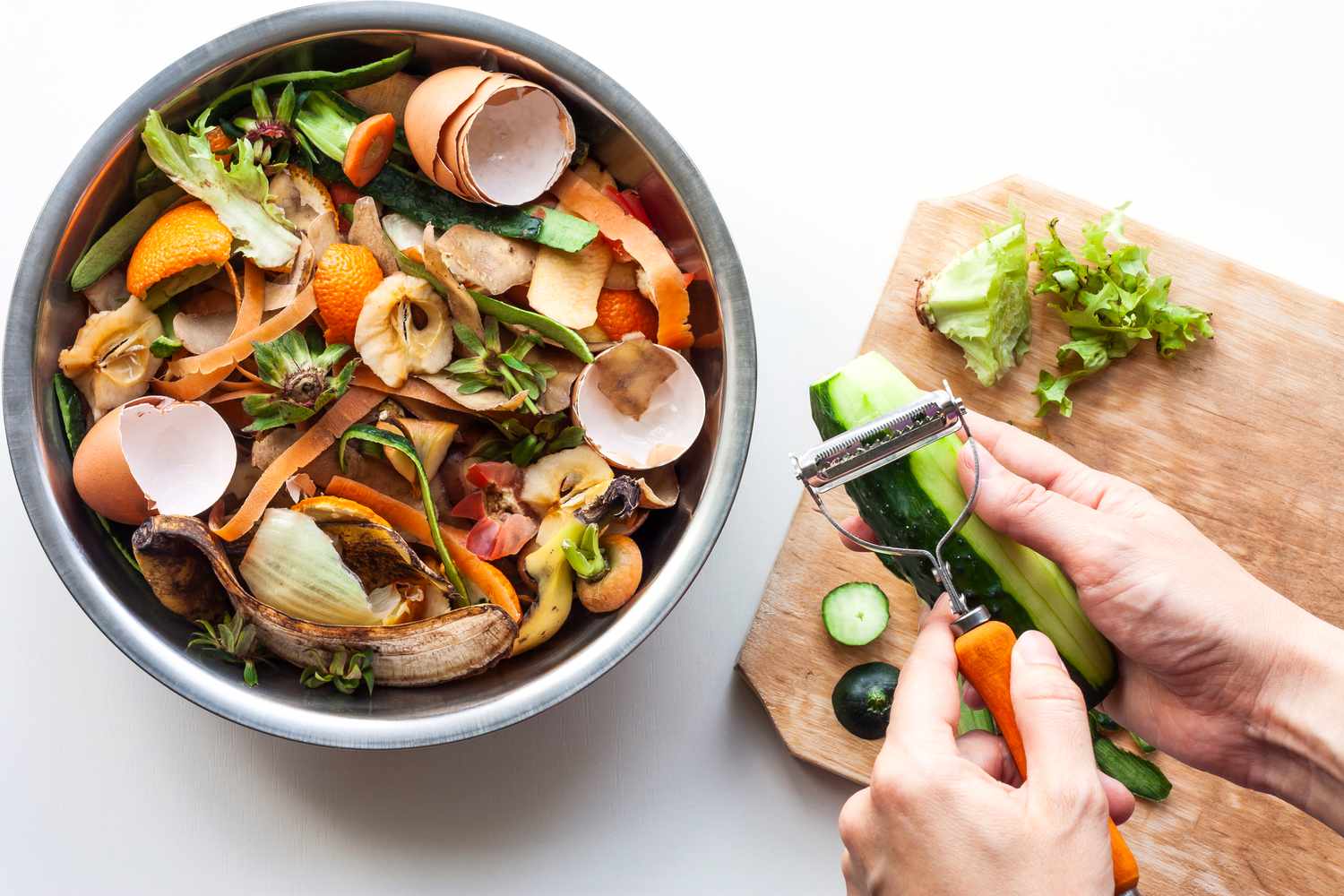 composting for plant fertilizer