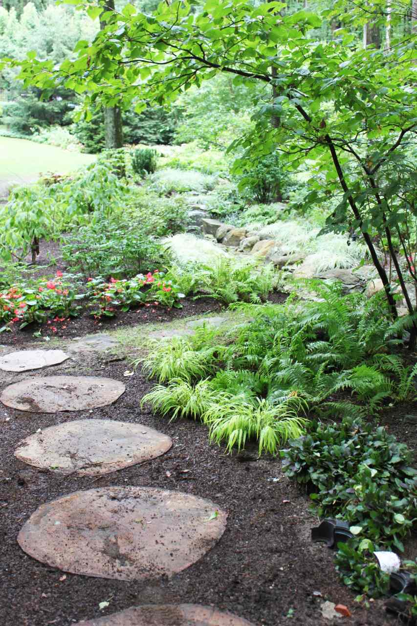 Stone pathway through a garden with plants and trees