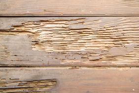 Wooden planks with noticeable wear and damage from exposure or pests