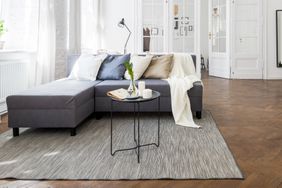 living room area with rug