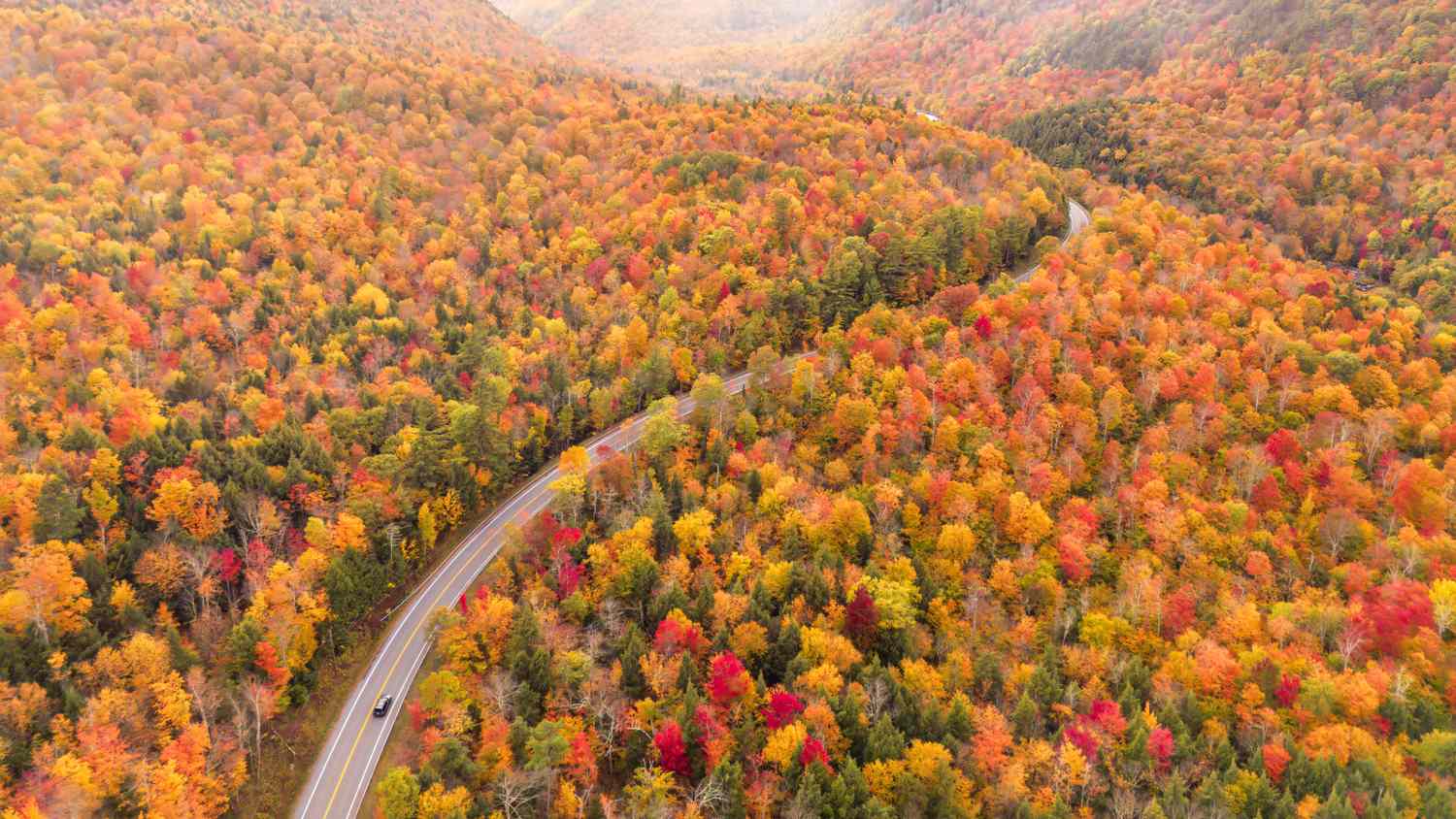 A winding road through a forest during autumn