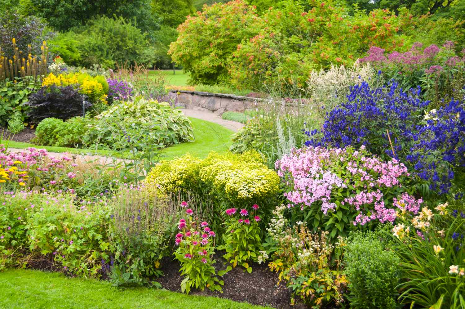A garden with various flowering plants and shrubs arranged along a pathway
