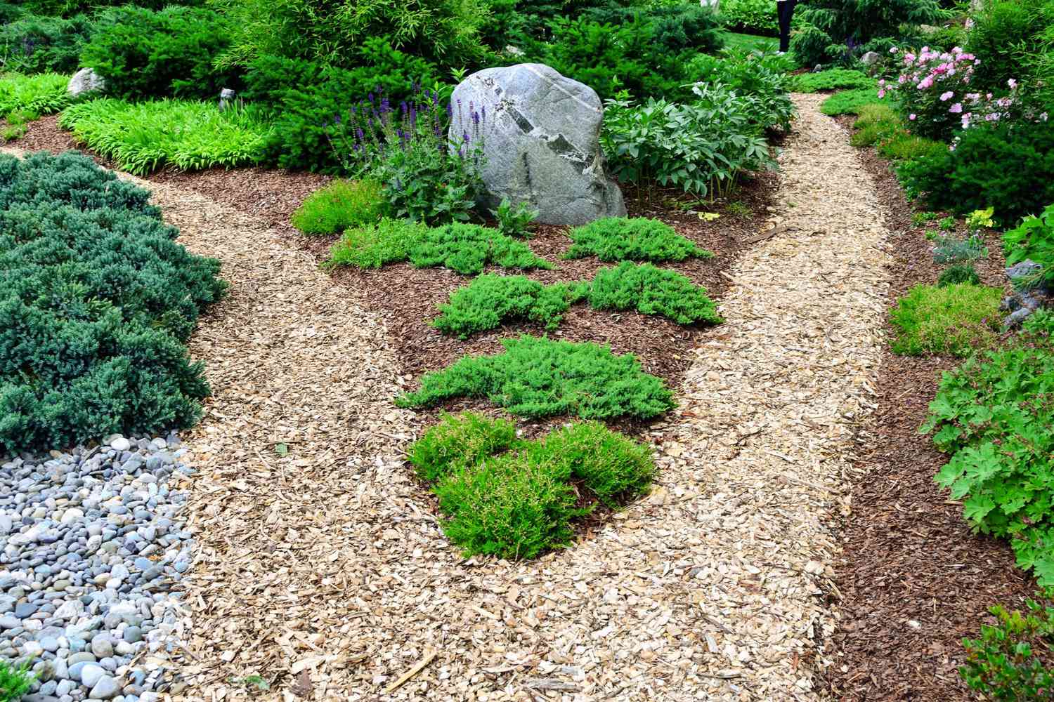 Garden path with rocks and mulch