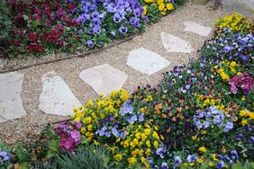 gravel garden with petunias and pansies