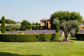 Front yard with hedges