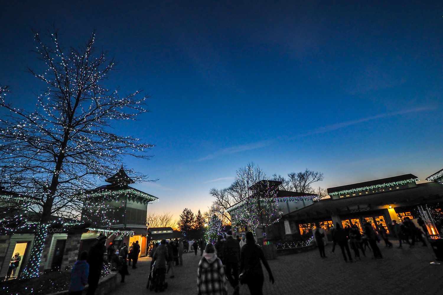Annual Festival of Lights at the Cincinnati Zoo and Botanical Gardens 