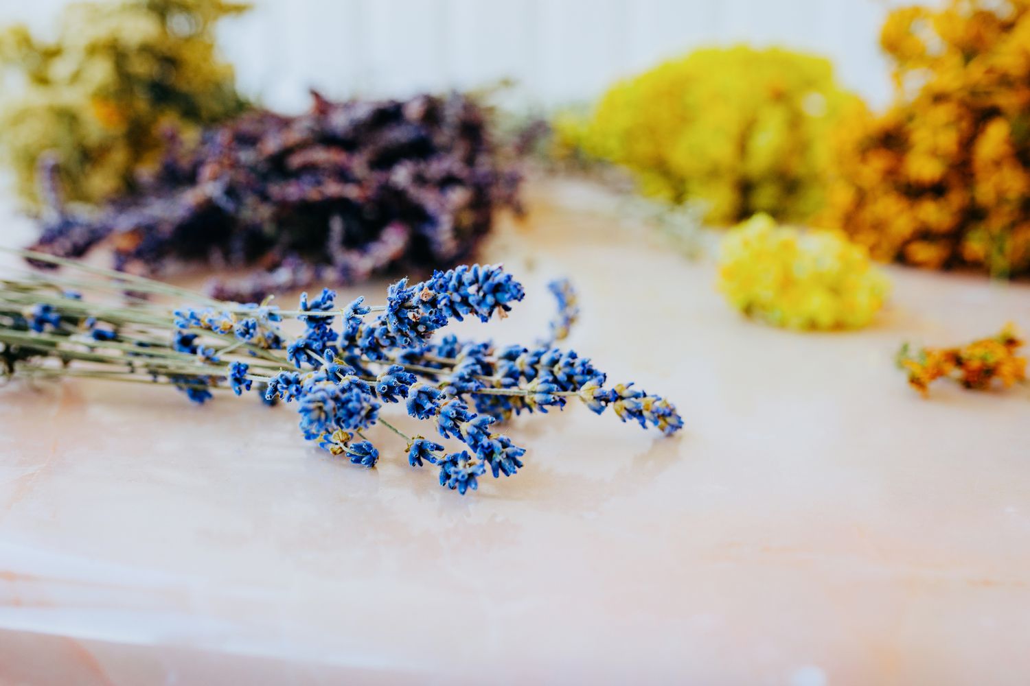 Dried flowers and herbs