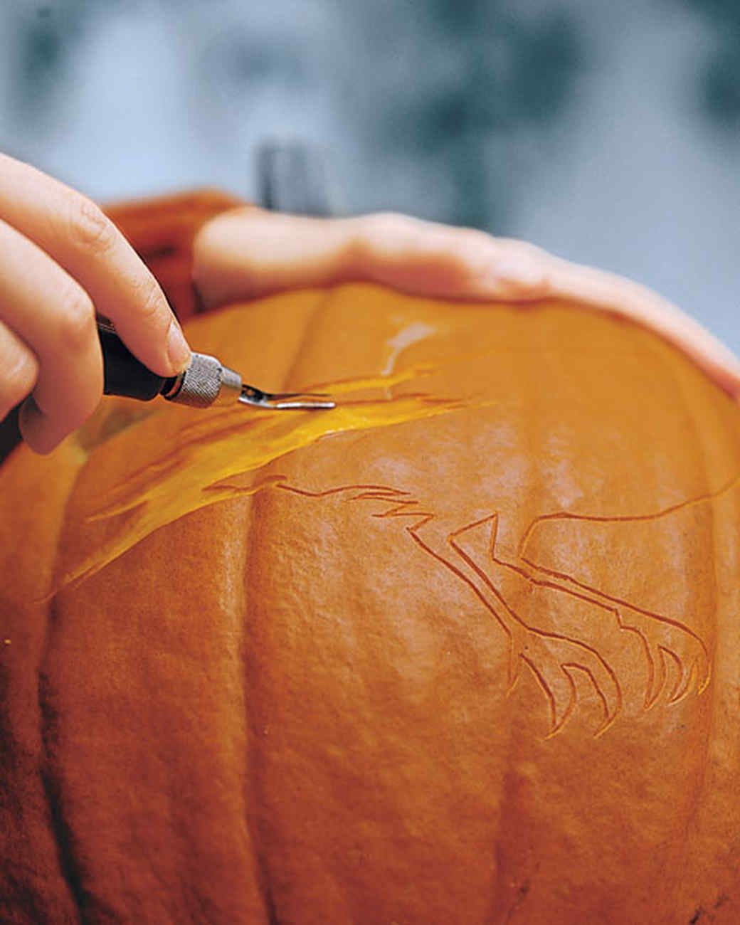 la102831_1007_pumpkinht4_hd