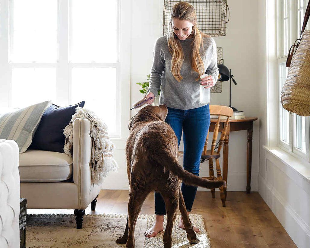 pet deodorizer dog with chloe