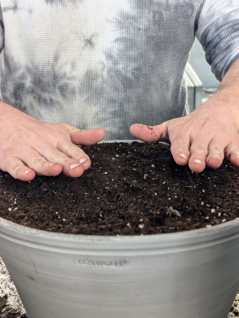 Gardener patting down soil in a planter pot. 