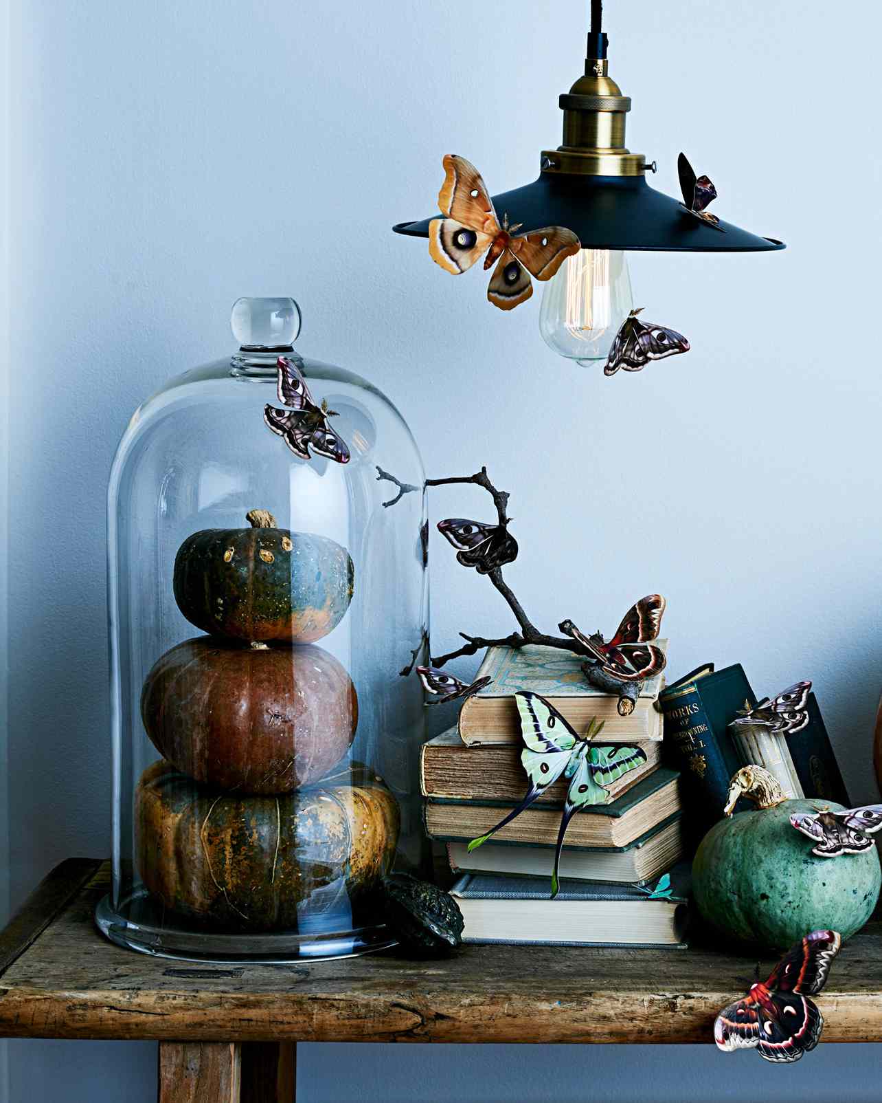 moths and pumpkins displayed on antique books