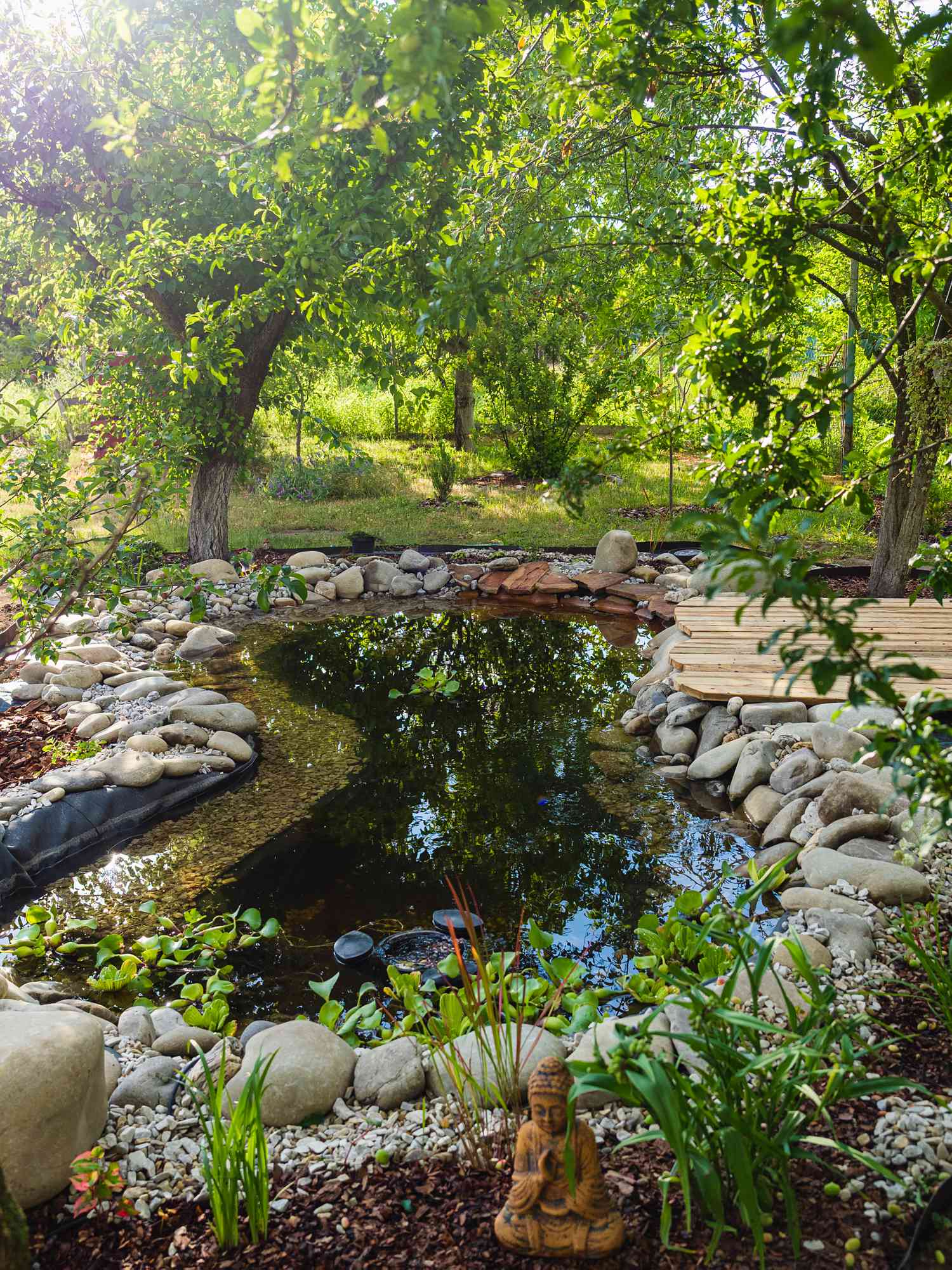 Little garden pond decorated with stones and herbal flowering plants, Sunny summer landscape