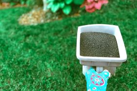 woman holding a lawn seeder wearing garden glove