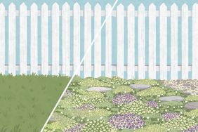 american lawn evolution