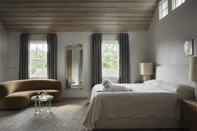 a gray bedroom with a dog 