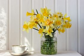 bouquet of yellow daffodils in a glass vase