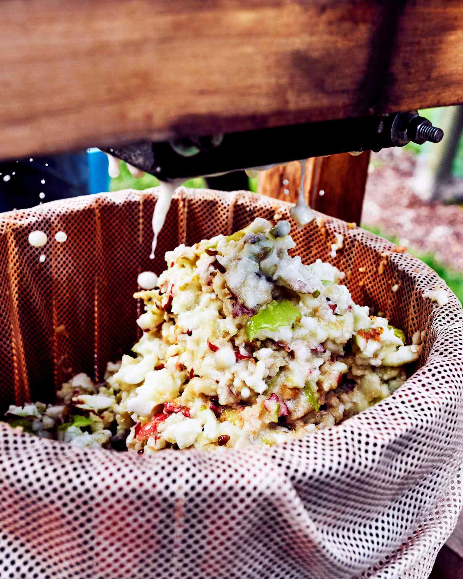 crushed apples in a press barrel