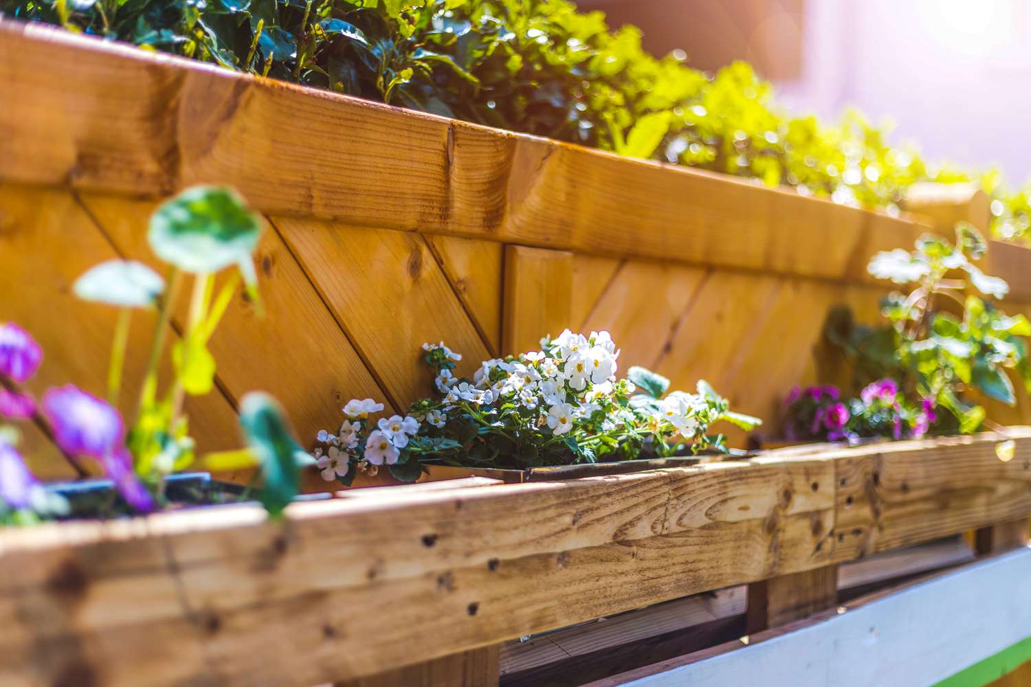 waist-high flower bed