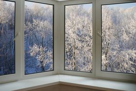 A winter scene viewed through a multipane window with snowcovered trees