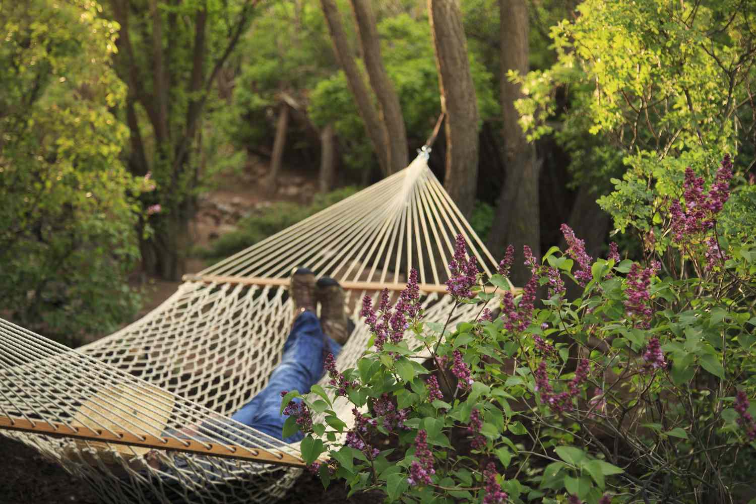 Person relaxing in a hammock surrounded by trees and flowering plants in a wooded area