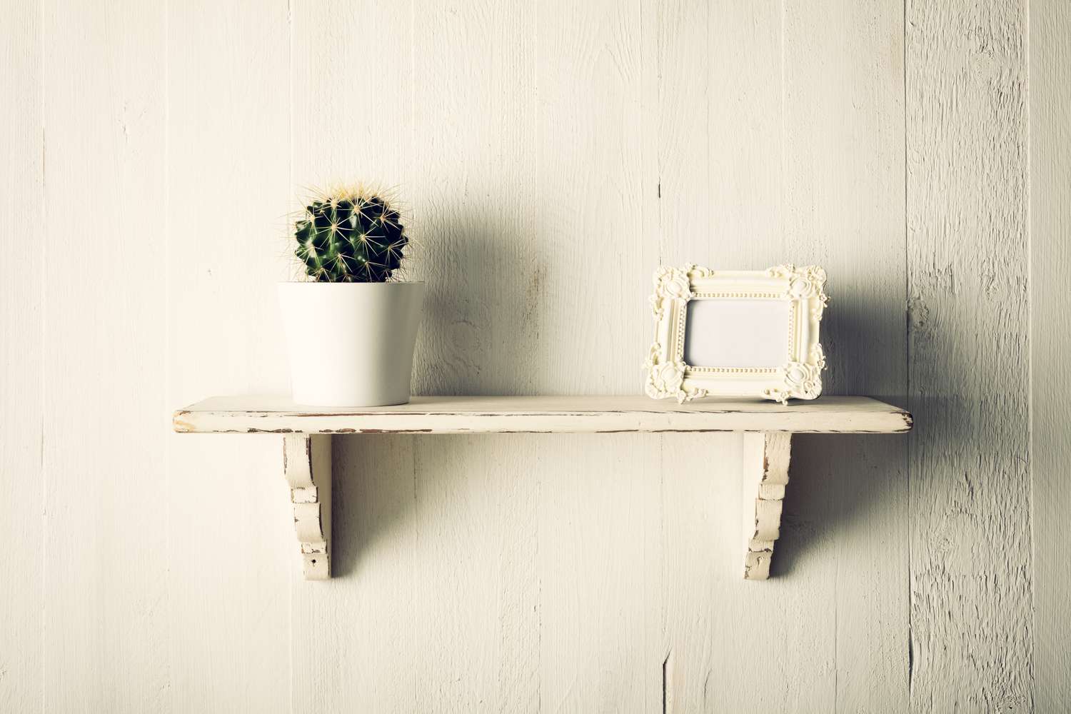 Cactus and vintage picture frame on shelf