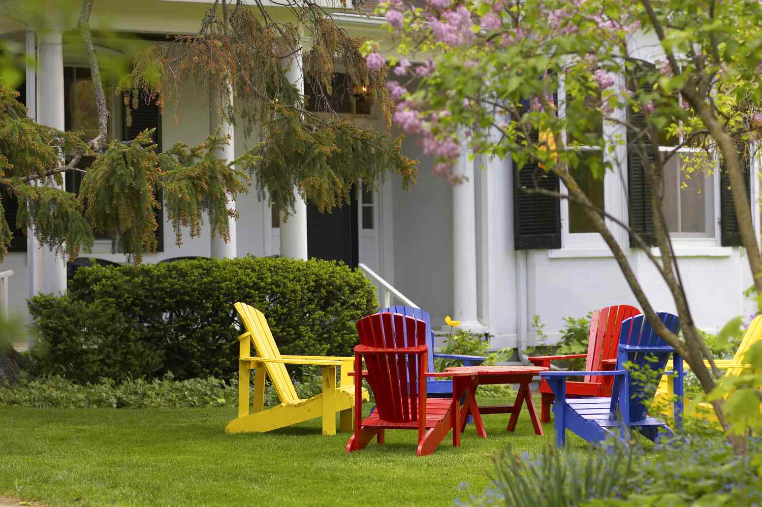 Muskoka armchairs painted vibrant colors on the front lawn.