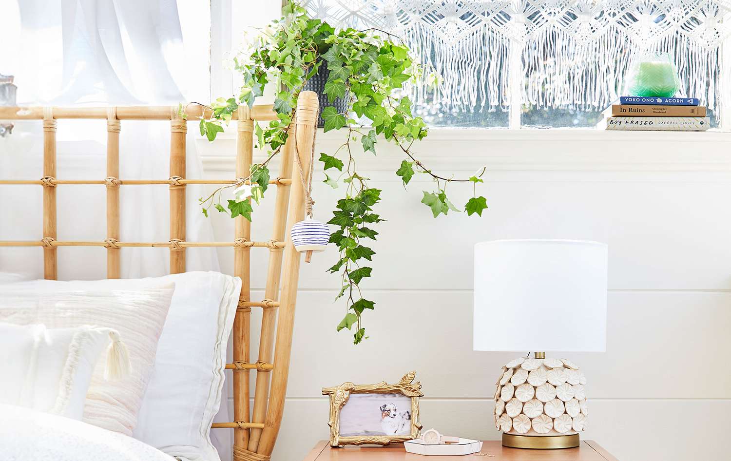 English ivy in bedroom