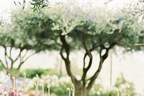 Peach, Green, and Gold Tablescape