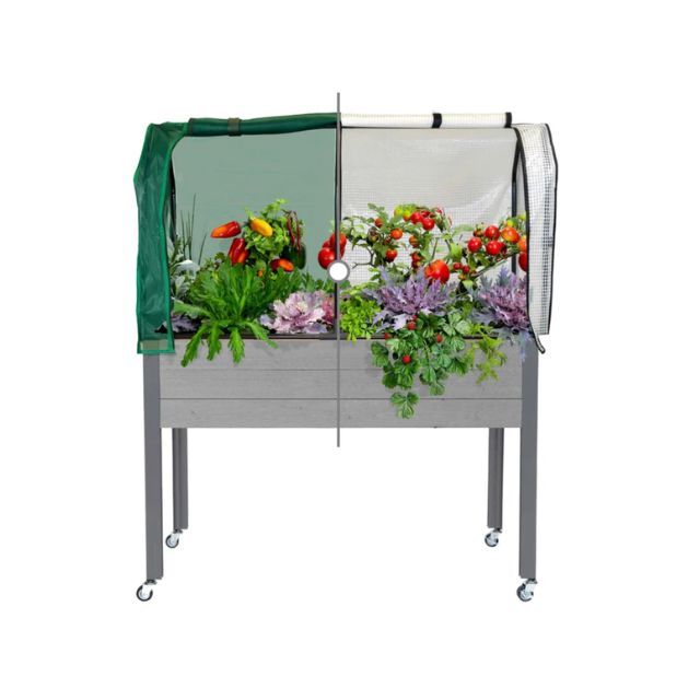 A raised garden bed with plants enclosed by a partially open greenhouse cover