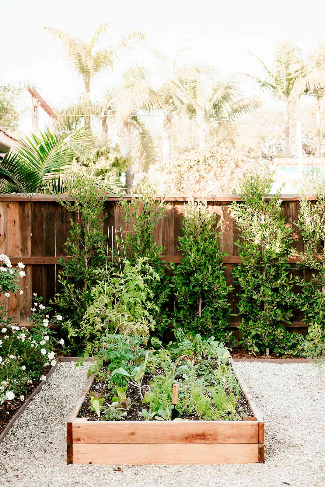 california house vegetable garden bed