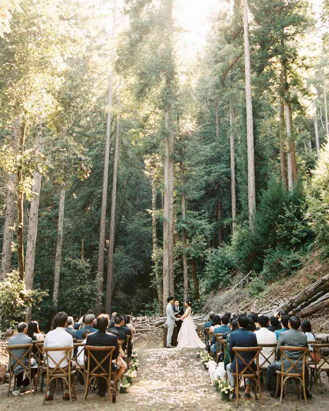 flower petals on outdoor forest aisle