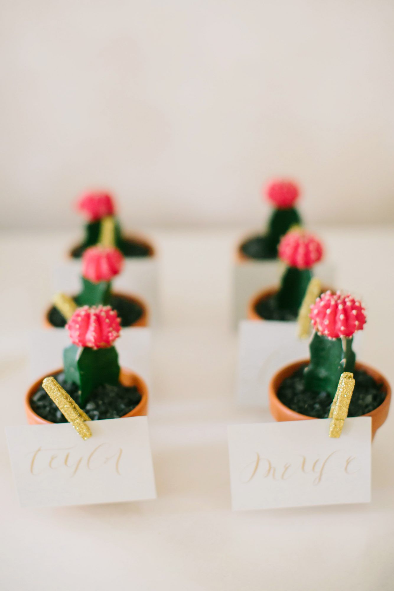 plant wedding favors mini cacti place cards