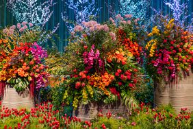 Flower arrangement in oversized baskets