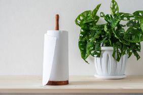 Paper towels on a wooden holder on the table against the white wall and houseplant of monstera.